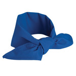 Chef Neckerchief