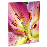 8x10 Wall Photo Panel