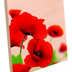 8x8 Photo Panel w/ Easel